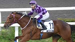 91. Gazi Koşusu Sonata'nın