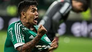 Fenerbahçe'nin Dudu sevdası bitmedi