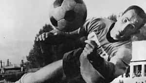 Eski Fenerbahçeli Radoviç vefat etti