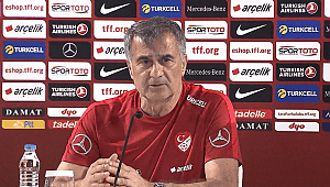 Şenol Güneş: Fransa'ya çıkıp herşeyi yapacağız