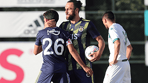 Fenerbahçe Bursaspor'u Vedat Muriqi ile geçti