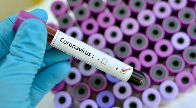 TFF Sağlık Kurulu'ndan koronavirüs bilgilendirmesi
