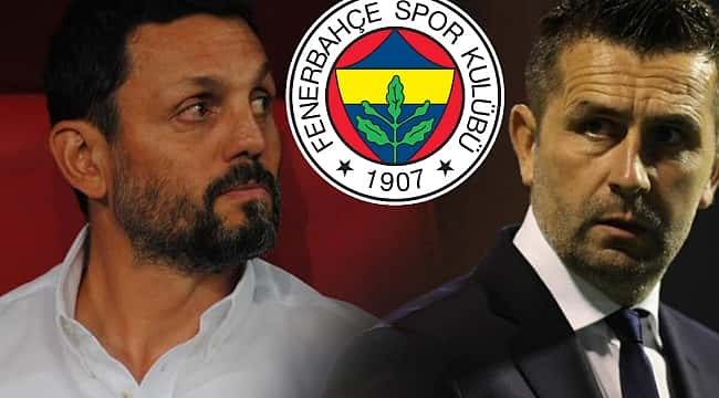 Erol Bulut, Bjelica ve Fenerbahçe üçgeni