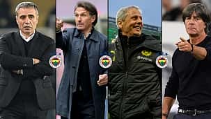 Fenerbahçe'nin teknik direktör adayları