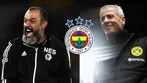 Fenerbahçe için 12 teknik direktör adayı var!