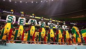 Belçika - Senegal Hangi Kanalda? Maç Saati ve Yayın Bilgisi