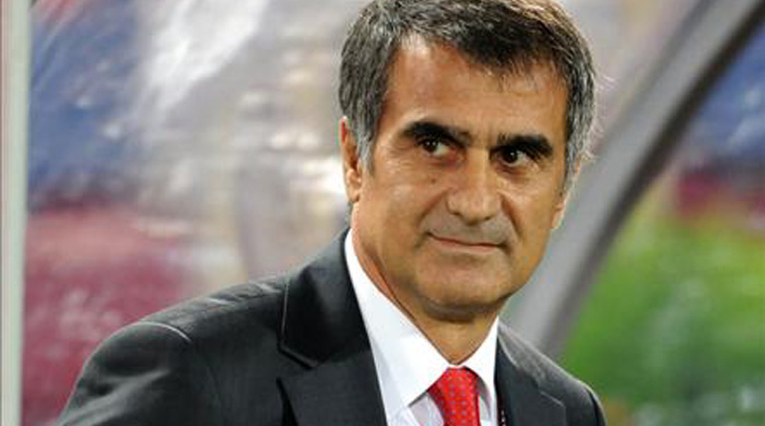 Şenol Güneş: Yine canımızı yakmasınlar