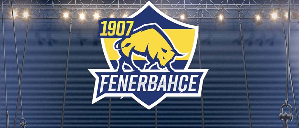 Fenerbahçe eSpor Takımı'nın bilinmeyenleri